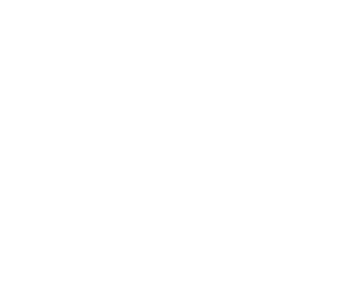 Logo RAFALIFE